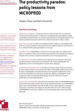 The productivity paradox: policy lessons from - MICROPROD - Bruegel