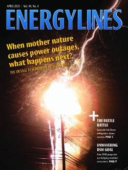 ENERGY LINES causes power outages, what happens next? THE OUTAGE RESTORATION PROCESS