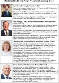 Members of the Electric Vehicle Programme Leadership Group: Beehive.govt.nz