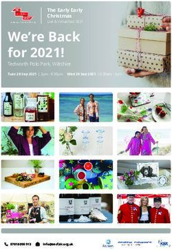 We're Back for 2021! The Early Early Christmas - Tedworth Polo Park, Wiltshire