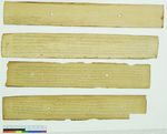 Investigation of Microorganisms Deteriorating Ancient Ola Leaf Manuscripts - De Gruyter