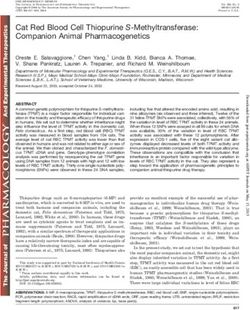 Cat Red Blood Cell Thiopurine S-Methyltransferase: Companion Animal Pharmacogenetics