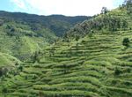 Land,Soil, Water, Natural Vegetation and Wildlife Resources - ncert