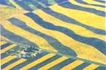 Land,Soil, Water, Natural Vegetation and Wildlife Resources - ncert
