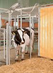 Product catalogue - Barn technology for dairy farms - Practical system solutions for stalls, manure engineering and feeding - GEA