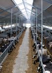 Product catalogue - Barn technology for dairy farms - Practical system solutions for stalls, manure engineering and feeding - GEA