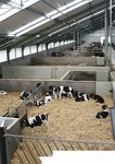 Product catalogue - Barn technology for dairy farms - Practical system solutions for stalls, manure engineering and feeding - GEA