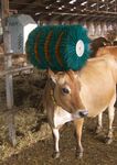 Product catalogue - Barn technology for dairy farms - Practical system solutions for stalls, manure engineering and feeding - GEA