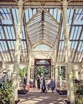 Turning over a new leaf - Restoration of the jewel in the Royal Botanic Gardens' crown - ISG
