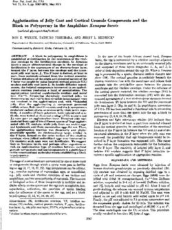 Agglutination of Jelly Coat and Cortical Granule Components and the Block to Polyspermy in the Amphibian Xenopus laevis - PNAS