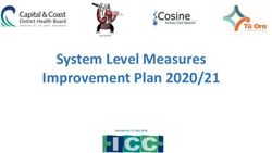 System Level Measures Improvement Plan 2020/21