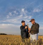 LEAF in 2016 Delivering more sustainable food and farming - Amazon S3