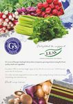 LEAF in 2016 Delivering more sustainable food and farming - Amazon S3