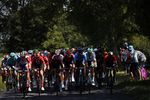 Technology beating romanticism at Tour de France - Tech Xplore