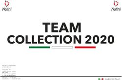TEAM COLLECTION 2020 MADE IN ITALY - NaliniDanmark