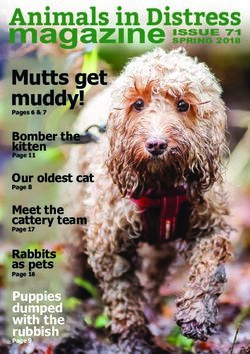 Animals in Distress Mutts get muddy! - Puppies dumped with the - UK.COM