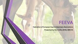 FEEVA Federation of European Equine Veterinary Associations Presented by Don Collins MVB, MRCVS - Federation of Veterinarians of Europe