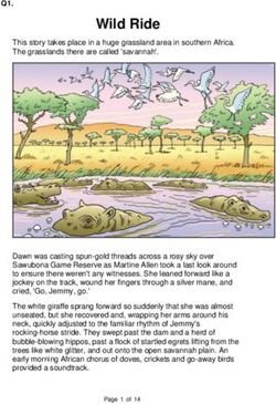 Wild Ride - Riverside Primary School