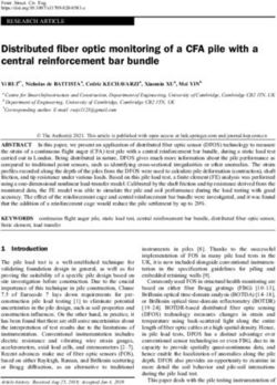 Distributed fiber optic monitoring of a CFA pile with a central reinforcement bar bundle