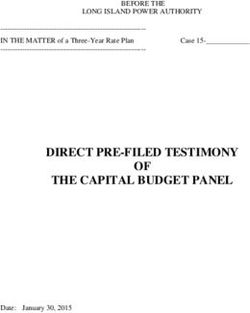 DIRECT PRE-FILED TESTIMONY OF THE CAPITAL BUDGET PANEL - BEFORE THE LONG ISLAND POWER AUTHORITY IN THE MATTER of a Three-Year Rate Plan