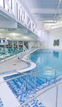 2021 Winter Program Guide - Reston Community Center - www.restoncommunitycenter.com - Classes & Activities