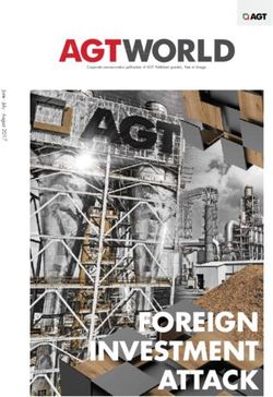 FOREIGN INVESTMENT ATTACK - AGT