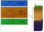Geochemistry at the nanoscale: chemistry of fluid-mineral interfaces, phytoremediation, nanotoxicology - Roland HELLMANN, G&eacute;raldine SARRET & ...