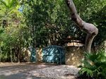 KIEHNEL & ELLIOT COCONUT GROVE SURVEY - Dade Heritage Trust