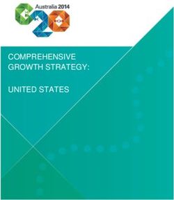 COMPREHENSIVE GROWTH STRATEGY: UNITED STATES