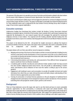EAST ARNHEM COMMERCIAL FORESTRY OPPORTUNITIES