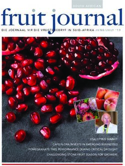 CGA CITRUS SUMMIT CAPE FLORA INVESTS IN EMERGING BUSINESSES POMEGRANATE TREE PERFORMANCE DURING CRITICAL DROUGHT CHALLENGING STONE FRUIT SEASON ...