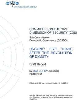 UKRAINE: FIVE YEARS AFTER THE REVOLUTION OF DIGNITY - NATO Parliamentary Assembly