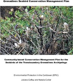 Grenadines Seabird Conservation Management Plan - Community-based Conservation Management Plan for the Seabirds of the Transboundary Grenadines ...