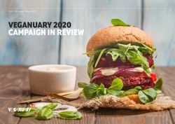 VEGANUARY 2020 CAMPAIGN IN REVIEW