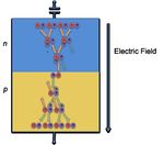 An Introduction to the Silicon Photomultiplier