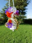 BUTTERFLY FEEDERS FOR YOUR GARDEN - SIMPLE FLOWER BUTTERFLY FEEDER - The National Botanic Garden of Wales