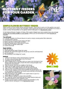BUTTERFLY FEEDERS FOR YOUR GARDEN - SIMPLE FLOWER BUTTERFLY FEEDER - The National Botanic Garden of Wales