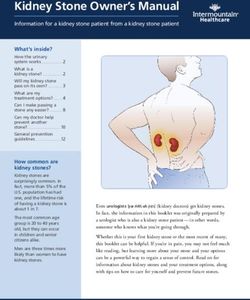 Kidney Stone Owner's Manual - Intermountain Healthcare