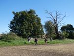 Activity - Walking & Cycling Section
