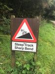 Activity - Walking & Cycling Section