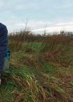 Goosenews - What's hiding behind the hill? GPS tracking of Pink-footed Geese Latest results of GSMP surveys - Monitoring - WWT