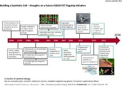 Building a Synthetic Cell - thoughts on a future H2020 FET Flagship initiative