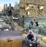 2020 DISTRICT 3 HUNTING PROSPECTS Asotin, Garfield, Columbia, and Walla Walla counties - WDFW