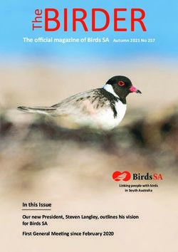 BIRDER The official magazine of Birds SA Autumn 2021 No 257 - In this Issue Our new President, Steven Langley, outlines his vision for Birds SA