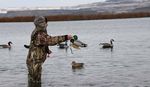 Idaho Migratory Game Bird - 2021-2022 Seasons & Rules - idfg.idaho.gov