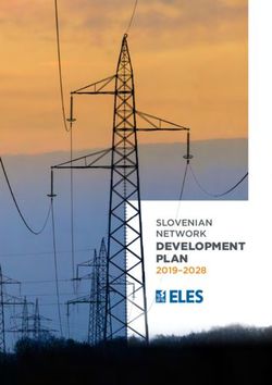 DEVELOPMENT PLAN SLOVENIAN NETWORK - ELES