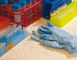 Honours Handbook 2018 - Honours Degree at the Australian Regenerative Medicine Institute - Australian Regenerative ...
