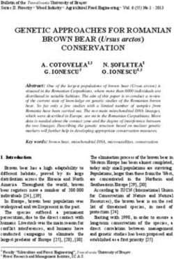 GENETIC APPROACHES FOR ROMANIAN - BROWN BEAR (Ursus arctos)