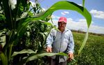 TORTILLAS ON THE ROASTER SUMMARY REPORT - CENTRAL AMERICAN MAIZE-BEAN SYSTEMS AND THE CHANGING CLIMATE - Catholic Relief Services