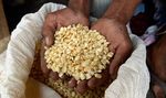 TORTILLAS ON THE ROASTER SUMMARY REPORT - CENTRAL AMERICAN MAIZE-BEAN SYSTEMS AND THE CHANGING CLIMATE - Catholic Relief Services